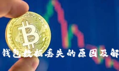 比特币钱包数据丢失的原因及解决方案