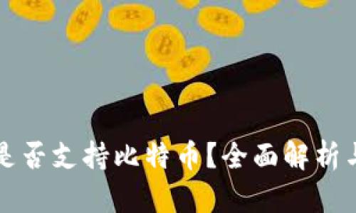 火云钱包是否支持比特币？全面解析与使用指南