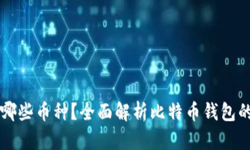 比特币钱包支持哪些币种？全面解析比特币钱包的多币种存储能力