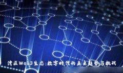 湾区Web3生态：数字时代的未来趋势与挑战