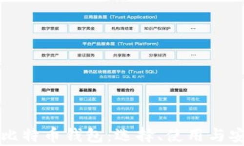 
全面解析比特币钱包：选择、使用与安全性指南