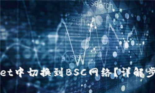如何在TPWallet中切换到BSC网络？详解步骤与注意事项