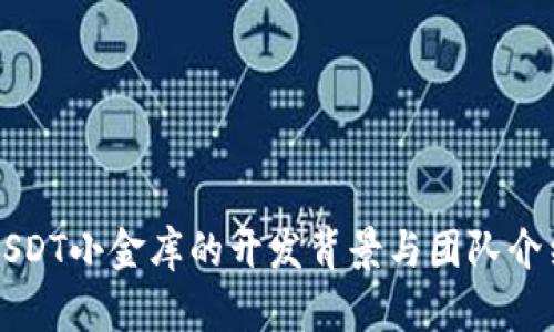 USDT小金库的开发背景与团队介绍